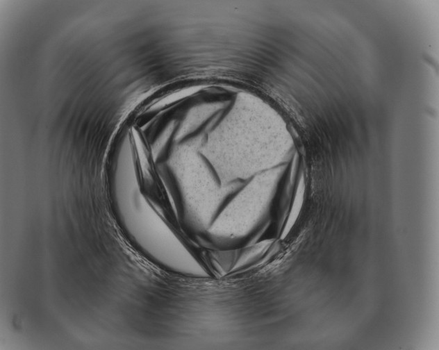 X0000091000876200708301332