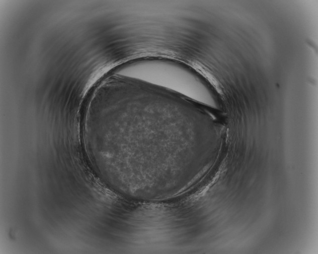 X0000091000877200708301332