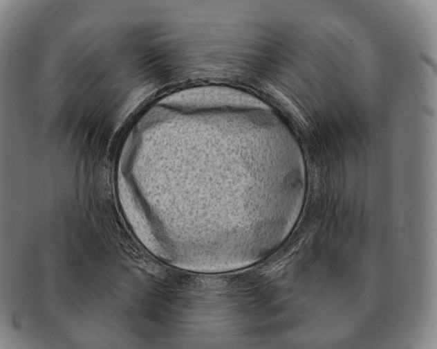 X0000091000878200708301332
