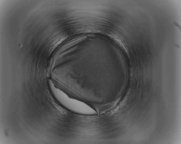 X0000091000881200708301332