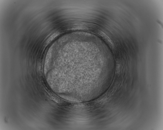 X0000091000882200708301332