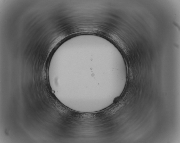 X0000091000883200708301332