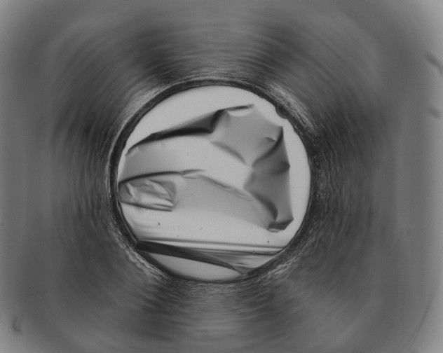 X0000091000884200708301332