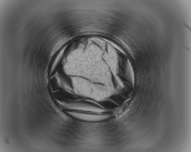 X0000091000885200708301332