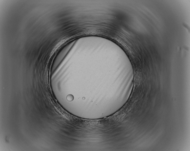 X0000091000886200708301332