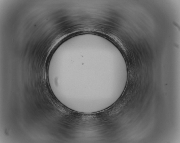 X0000091000887200708301332