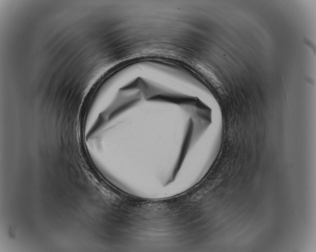 X0000091000888200708301332