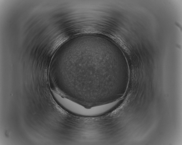 X0000091000889200708301332