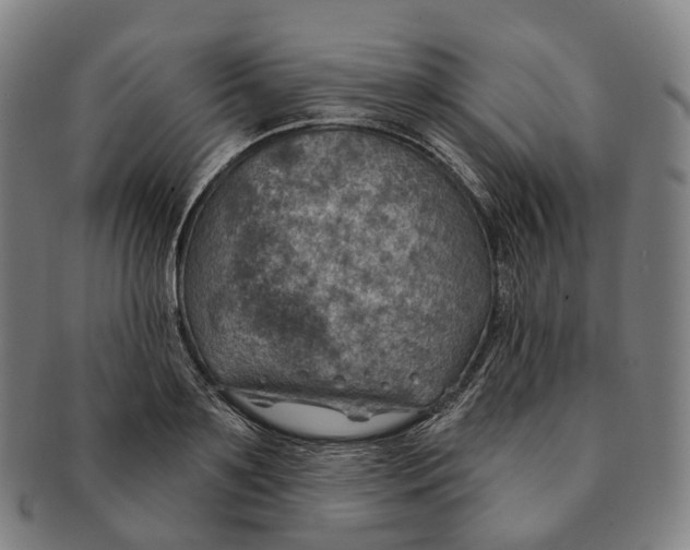 X0000091000891200708301332