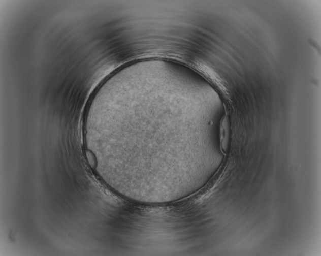 X0000091000892200708301332