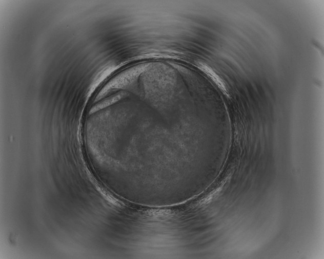 X0000091000893200708301332