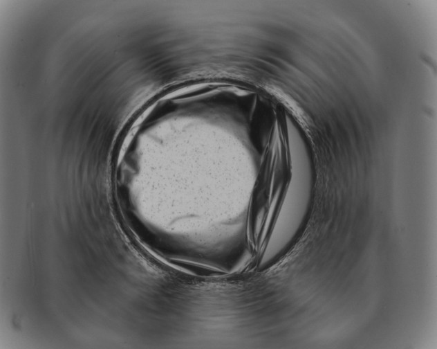 X0000091000894200708301332