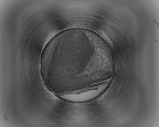 X0000091000896200708301332
