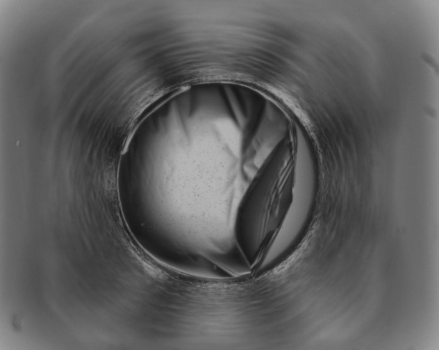 X0000091000897200708301332