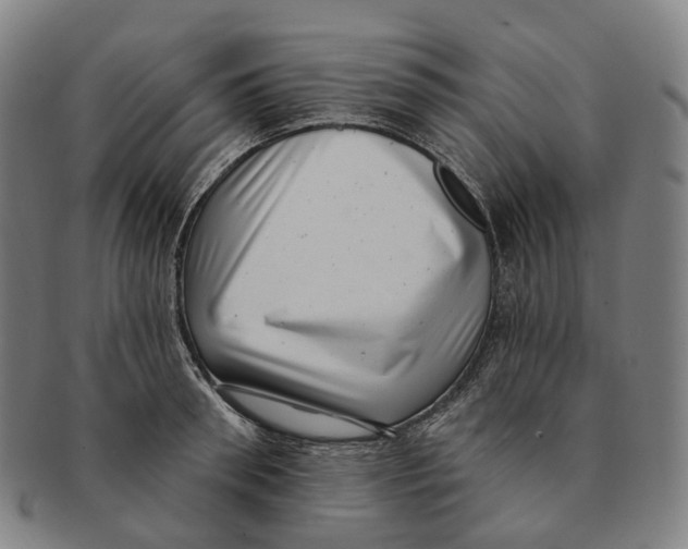 X0000091000898200708301332