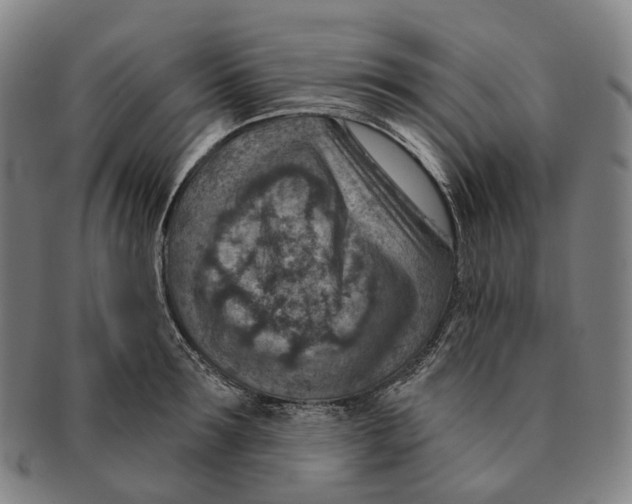 X0000091000899200708301332