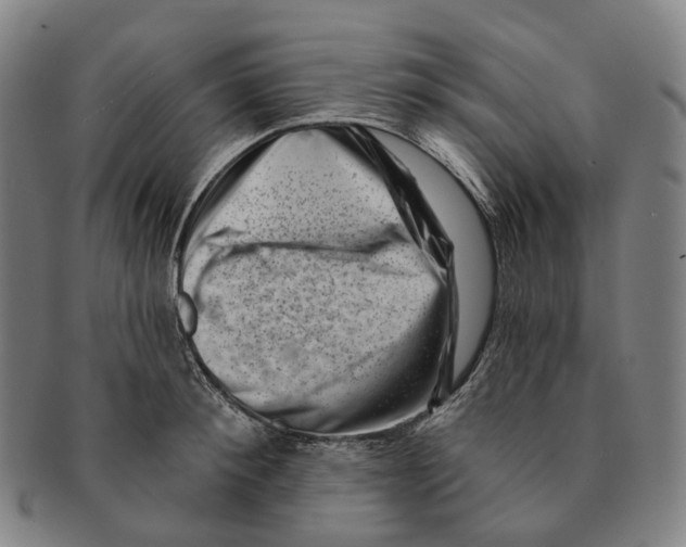 X0000091000900200708301332