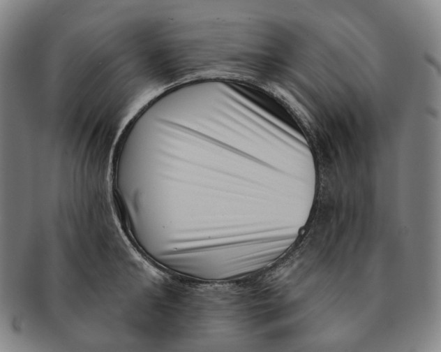 X0000091000902200708301332