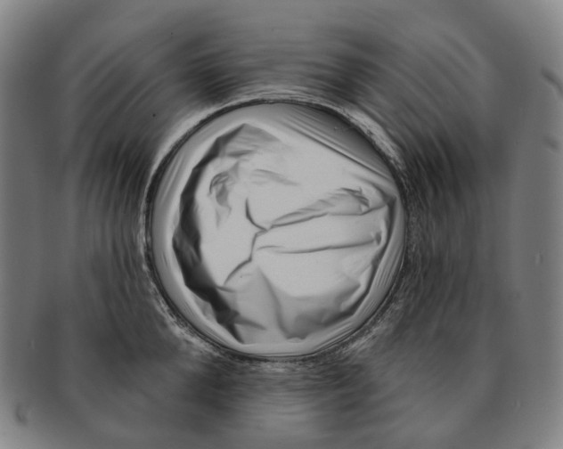 X0000091000904200708301332