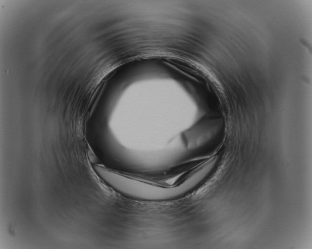 X0000091000905200708301332