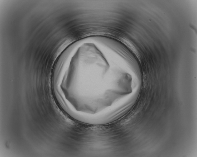 X0000091000906200708301332