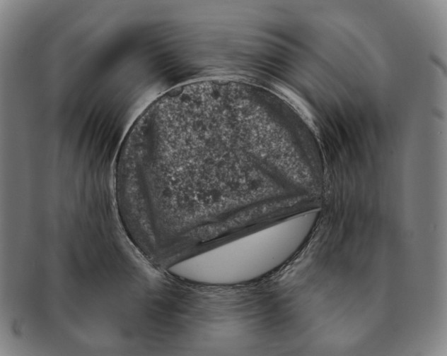 X0000091000907200708301332