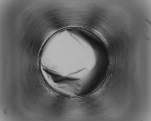 X0000091000908200708301332