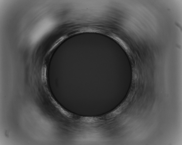 X0000091000910200708301332
