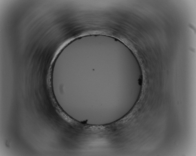 X0000091000912200708301332