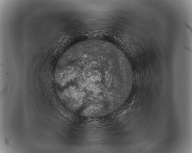 X0000091000913200708301331