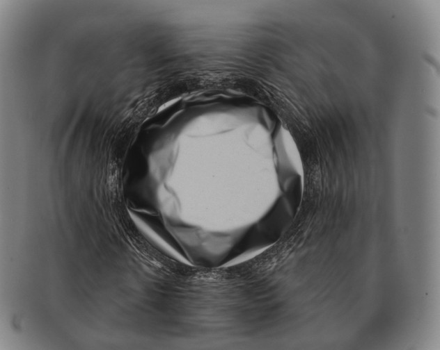 X0000091000914200708301331