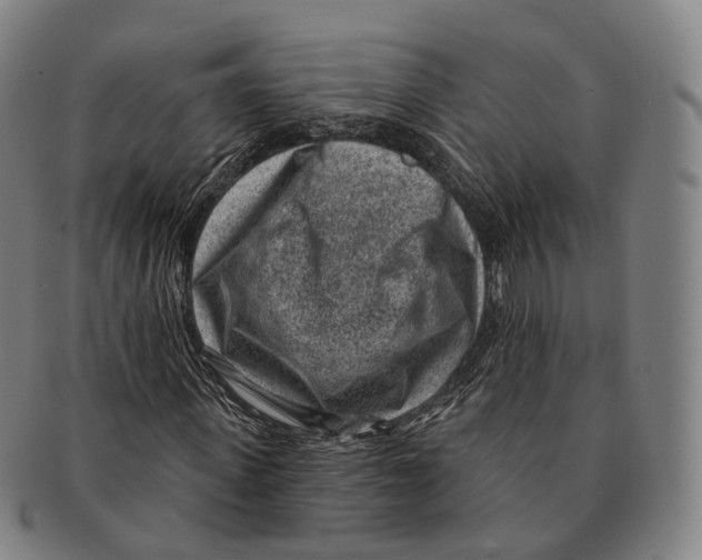 X0000091000915200708301331
