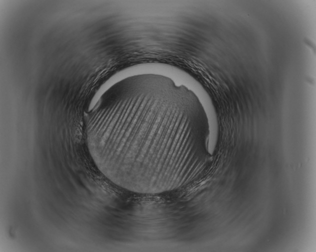X0000091000916200708301331