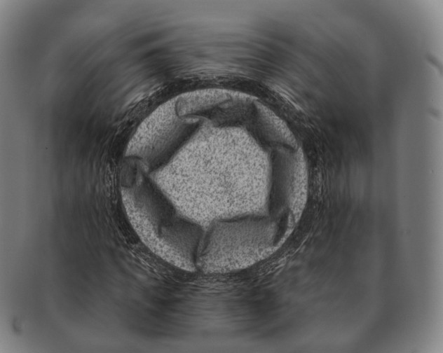 X0000091000917200708301331