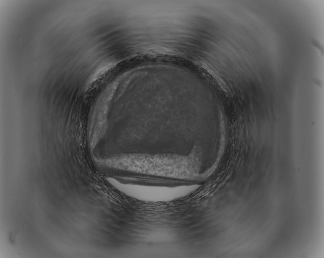 X0000091000919200708301331