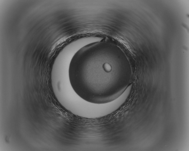 X0000091000920200708301331