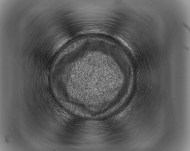 X0000091000921200708301331