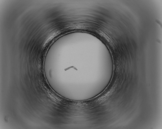 X0000091000922200708301331