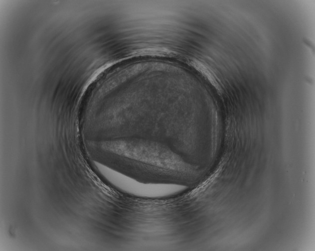 X0000091000923200708301331
