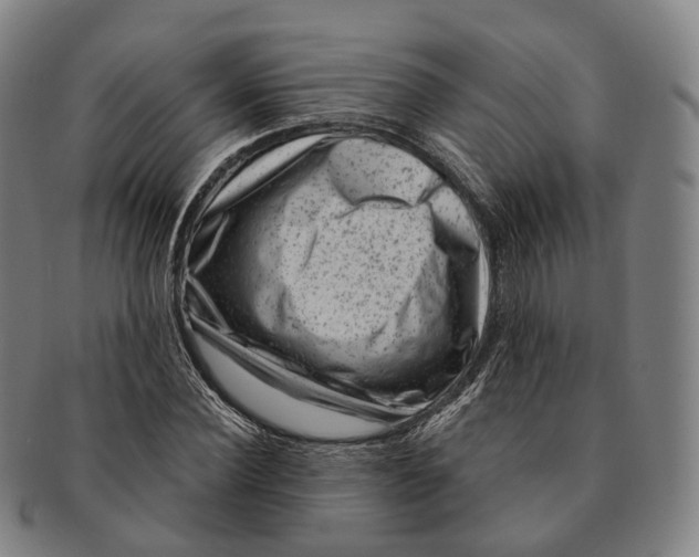 X0000091000924200708301331