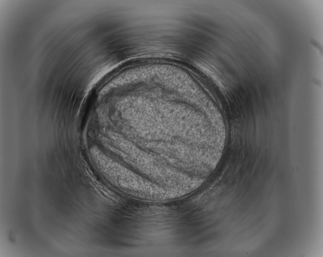 X0000091000925200708301331