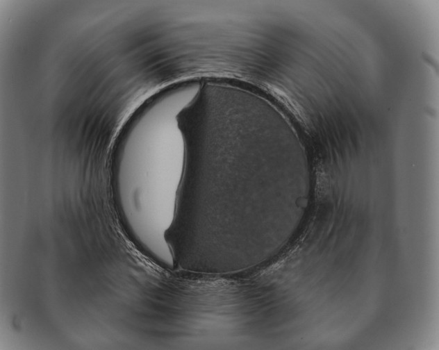 X0000091000926200708301331