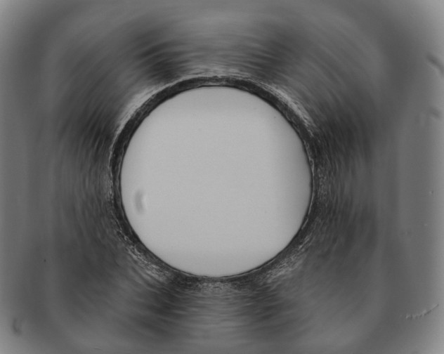 X0000091000927200708301331