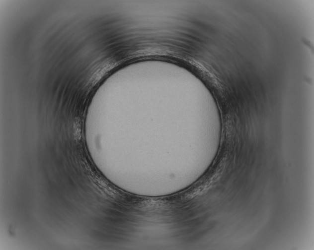 X0000091000929200708301331