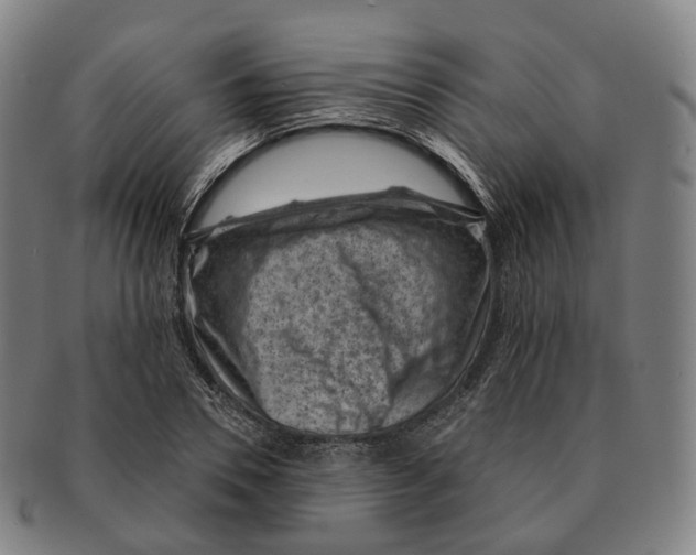 X0000091000930200708301331