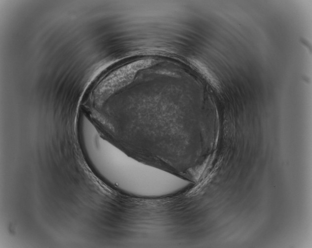 X0000091000932200708301331