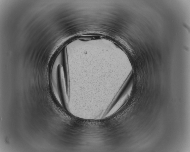 X0000091000934200708301331