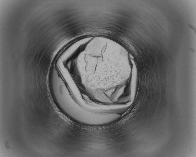 X0000091000936200708301331