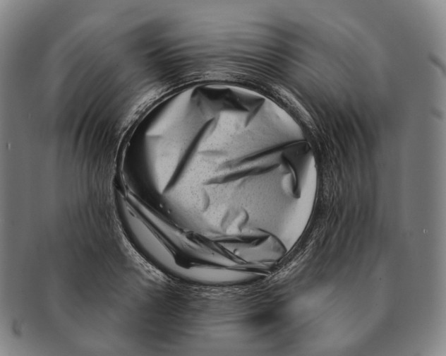 X0000091000938200708301331