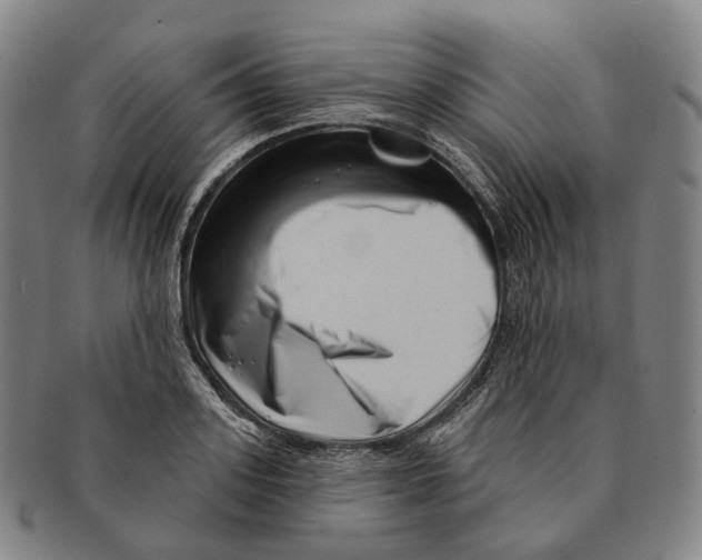 X0000091000939200708301331